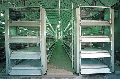 �Ԅ���Sϵ�y(t��ng)1