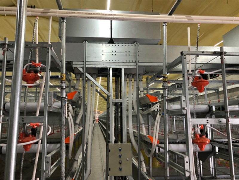 ȫ�Ԅ��B(y��ng)�u�O��-���u