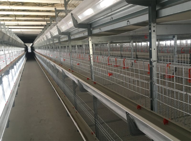 ȫ�Ԅ��B(y��ng)�u�O��-���u