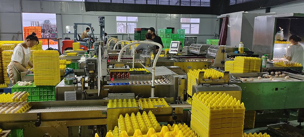 ���P(p��n)ʽ�ּ�(j��)�b�м�(j��)��ÿ