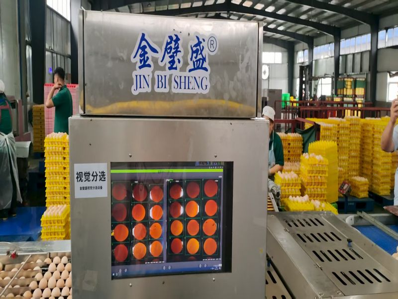 AI����ҕ�X(ju��)�z�y(c��)