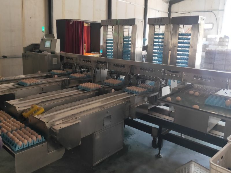 ��Ʒ�ּ�(j��)�b�ЙC(j��)��ÿС